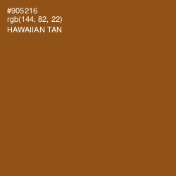 #905216 - Hawaiian Tan Color Image